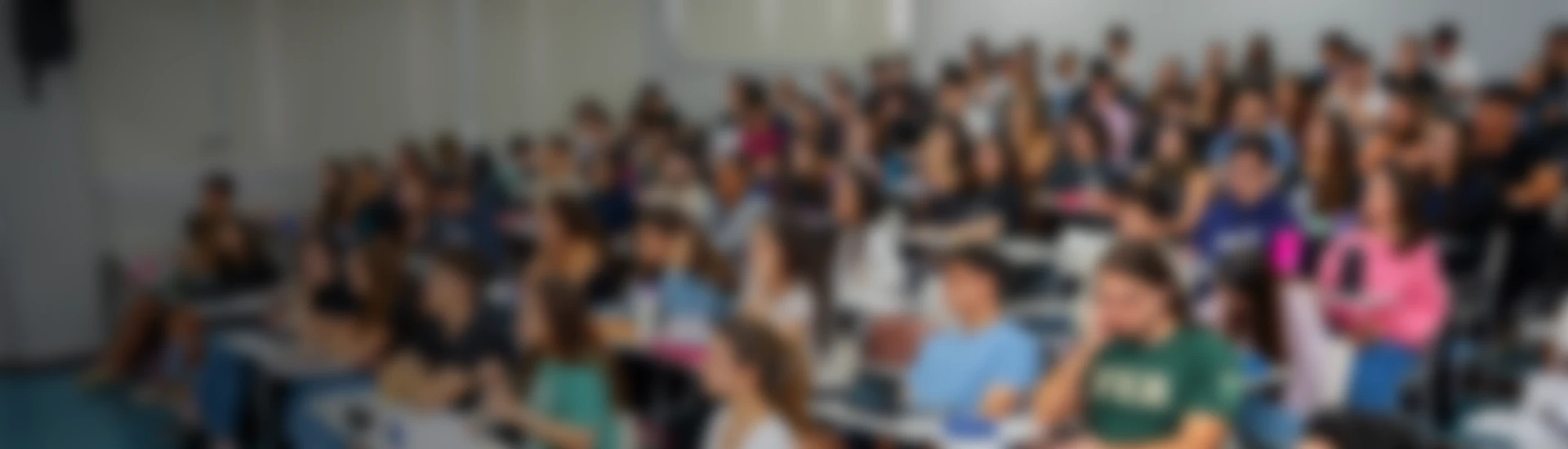 Concurso de Bolsas